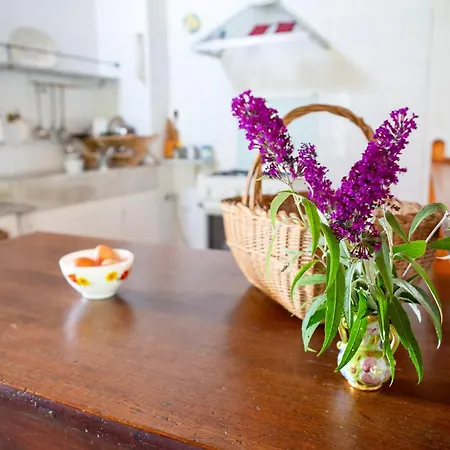 Borgo Antico Carpasio